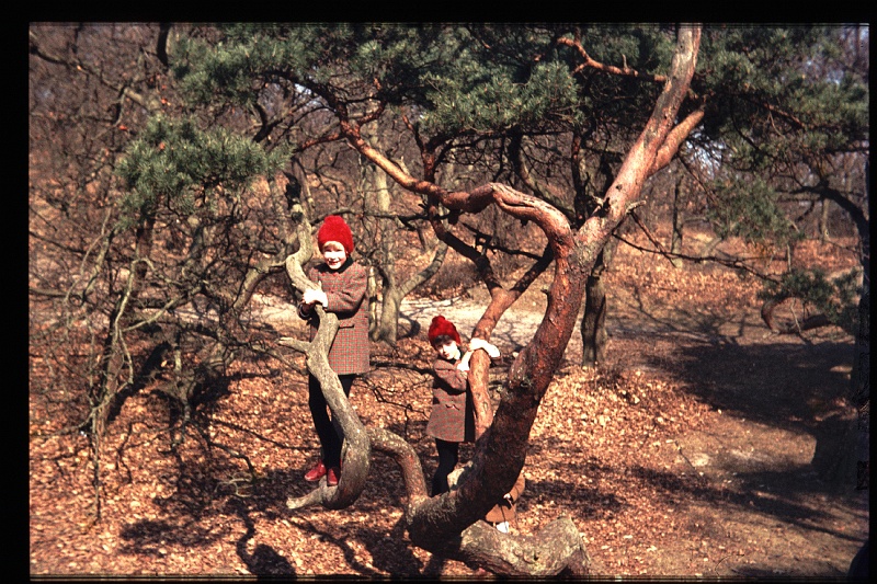 29.Meyendel mrt 1969 Brigitte,Marion.JPG